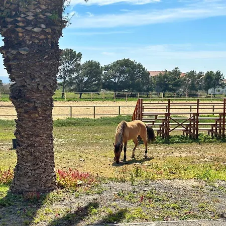 Golden House Feriehus